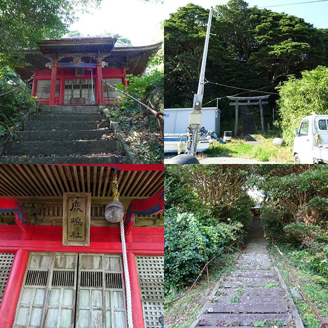宮城県の田代島の神社 #鹿嶋神社 ですな。階段が超急だから気をつけてね。 #侍猫さんぽ #猫島
