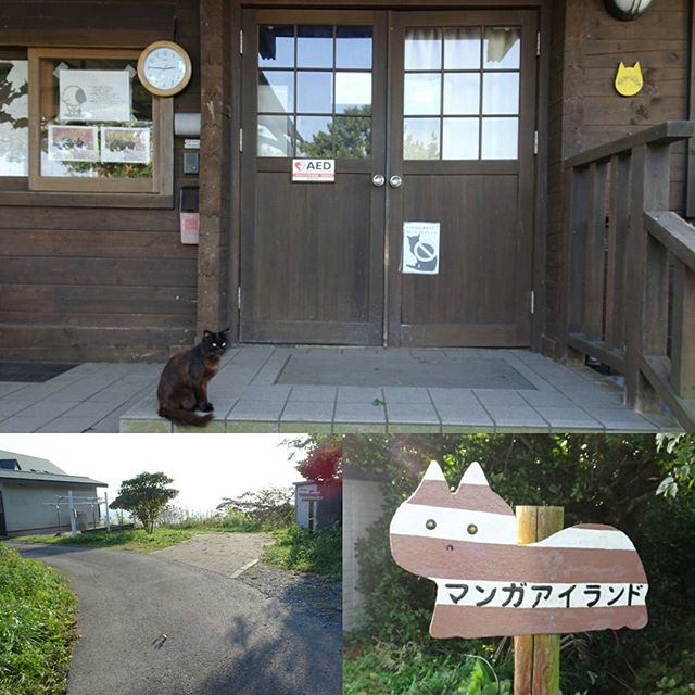 宮城県の猫島へ行ってみた！マンガアイランドに到着！猫島らしく猫がお出迎えですな！ここは漫画家さんとコラボした建物が見られますぞ。ここら辺はフェリーが到着する仁斗田港に近いよ。 #侍猫さんぽ #猫島 #猫 #ねこ