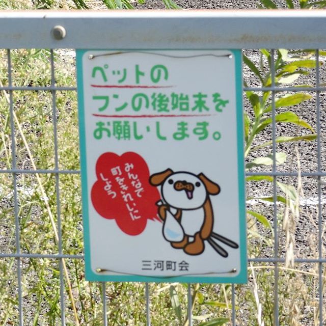 福島駅周辺の散歩 この犬ってば良い顔しとる！！ #侍猫さんぽ
