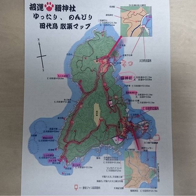 宮城県の猫島へ行ってみた！今回の侍猫さんが歩いた散歩コースを猫島地図で見てみたよ。右下の仁斗田港から反時計回りに猫神社、大泊って回ったね。撮影やら神社まわりしたから1周5時間くらいかかったかな？ #侍猫さんぽ #猫島