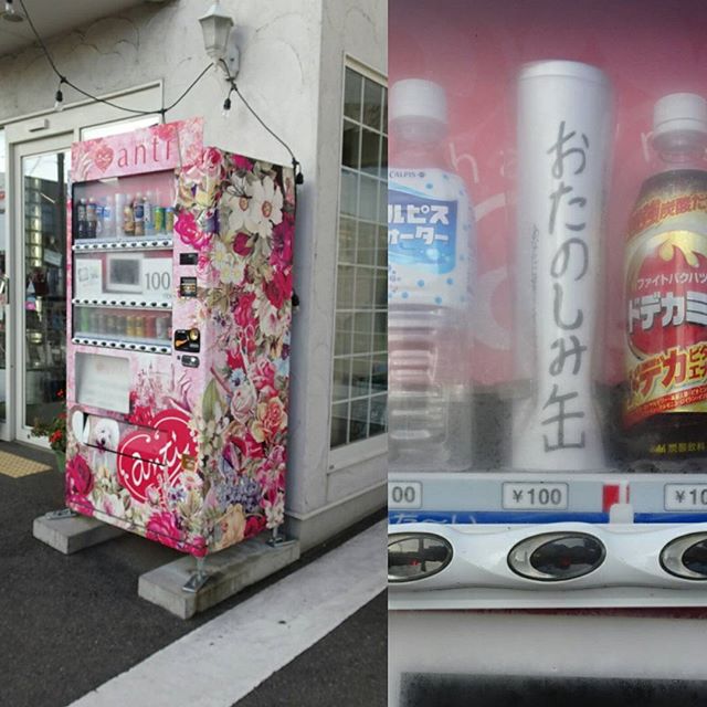 ロックで前衛的な自動販売機見つけたと思ったら… お楽しみ缶なんてやつがいたですよ #侍猫さんぽ