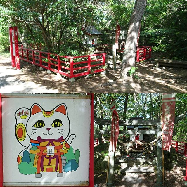 宮城県の猫島へ行ってみた！猫神社2回目ですな。詳しくは昨日の記事を読んでくれれば何となくわかると思われます。 #侍猫さんぽ #猫島