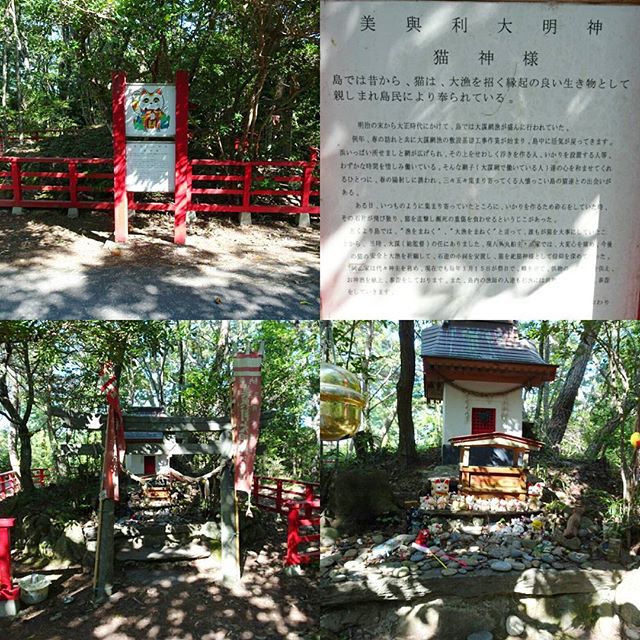 猫島にある #猫神社 #美與利大明神 #猫神様 ですな。この神社ができる物語がちょい生々しい…でも縁起のパワーはすごいみたいね！宮城県の猫島へ行ってみた！ #侍猫さんぽ #猫島