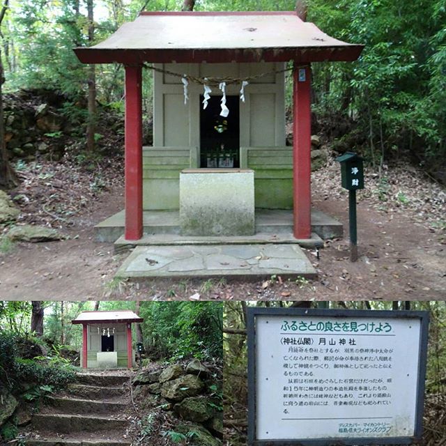 福島駅周辺の散歩 #月山神社 ですな。たぶん信夫山公園で一番見つけにくい神社です。草をかき分けて進むとあるので頑張って見つけてくださいな #侍猫さんぽ