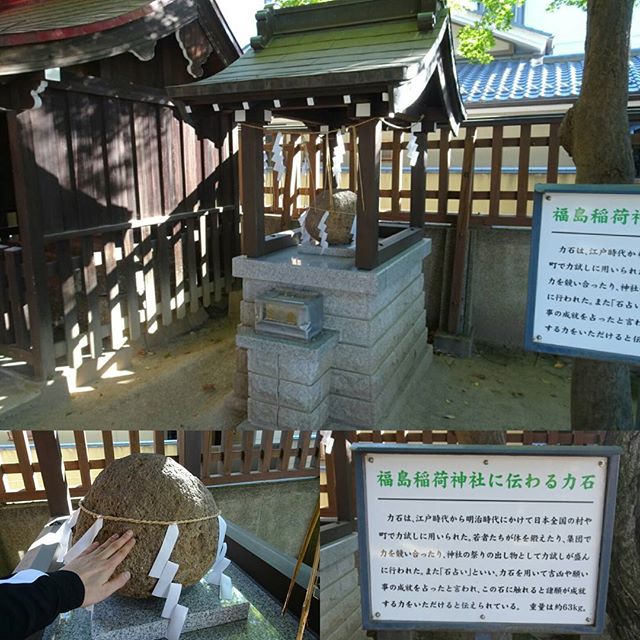 福島駅周辺の散歩 #福島稲荷神社 #力石 触ると願いが叶います！なんか嫁ができそうな気がしてきた！ #侍猫さんぽ #嫁探しの旅
