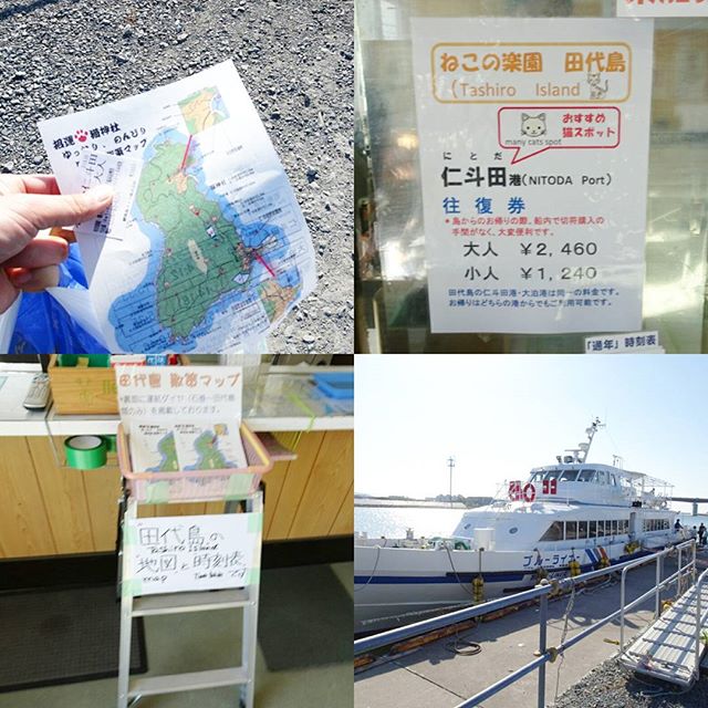 宮城県の猫島へ行ってみた編 ついに田代島 の乗船券をゲット！チケット売り場で島の地図がもらえるよ！ #侍猫さんぽ