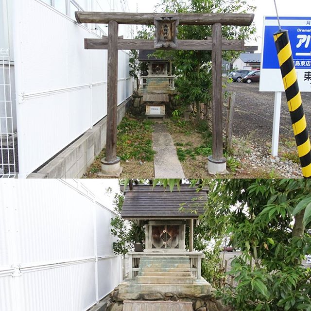 福島駅周辺のパワースポット #矢剱神社 ですな。侍猫さん繋がりにもご利益がありますように！ #侍猫さんぽ
