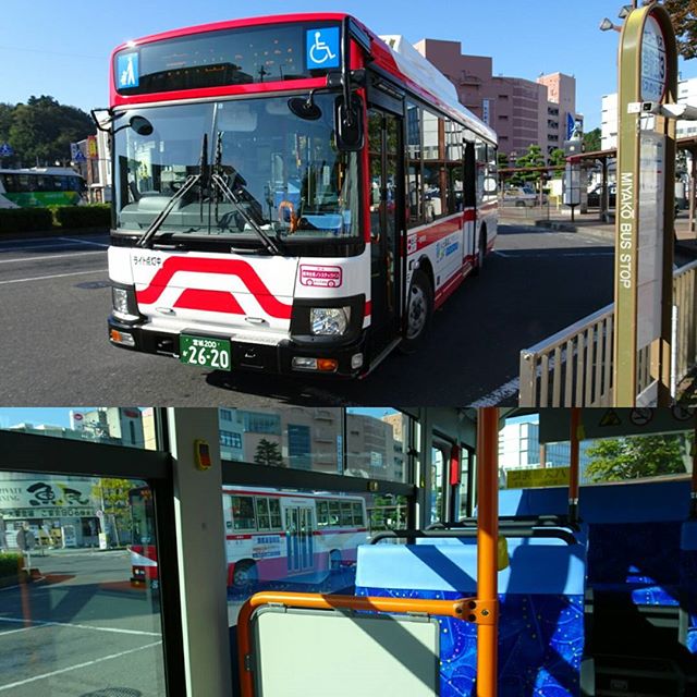 宮城県の猫島へ行ってみた編 石巻駅にバスが来た！大人気スポットだけあって乗客は3人！グッとくるね！ #侍猫さんぽ #猫島