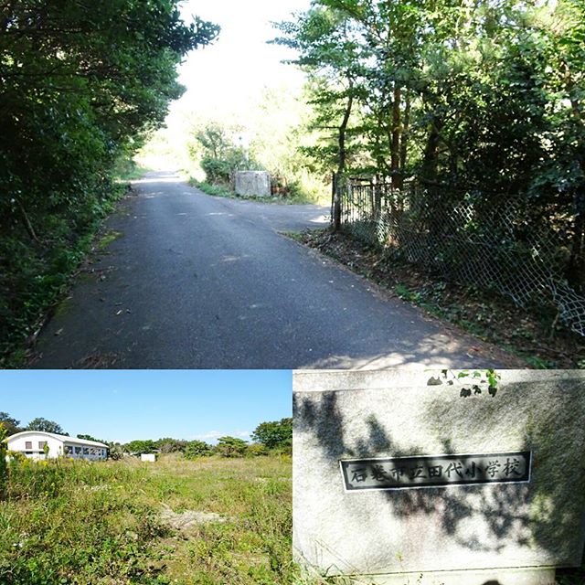 宮城県の猫島へ行ってみた！森の中の道を進むと石巻市立田代小学校がててきます。ここはグラウンド側なんでもう少し進みますよ #侍猫さんぽ #猫島