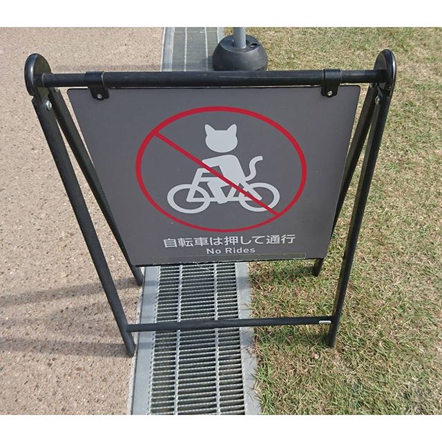 天王寺公園内では #自転車は押して通行 だにゃ！ #侍猫さんぽ