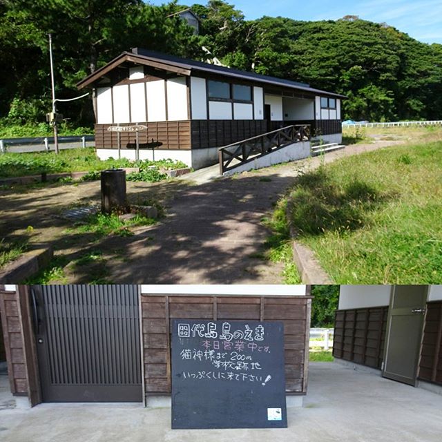 宮城県の猫島へ行ってみた！そうそう仁斗田港の近くにはトイレがあるよ。島にはトイレが設置されてるから安心！しかもすげぇ綺麗！臭くなくて住める位の綺麗さ！かなり評価高いよね！島の情報も書いてあるよ #侍猫さんぽ #猫島