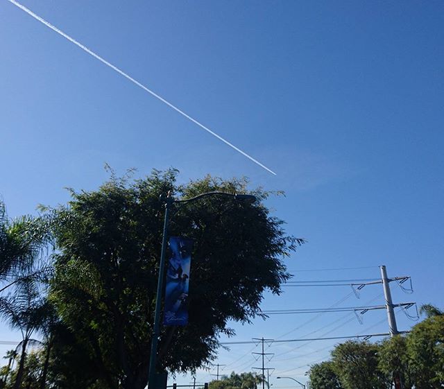 #海外旅行初心者の旅 031 カリフォルニアの飛行機雲だね 朝から日差し強すぎ！空気はカラットしてるよ #losangeles