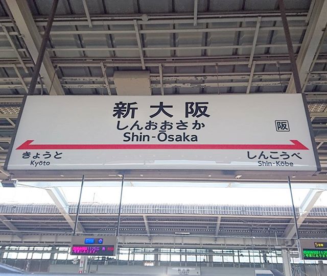 侍猫さんは、新大阪駅に東京カンパネラを片手にもちながらスムーズに到着します。 #新大阪 #侍猫さんぽ