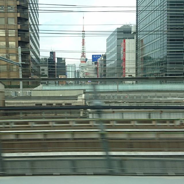 侍猫さんの夏休み #002 東京駅をデッパツ！！とりあえず東京タワーですよね。新幹線は東京駅からのらないと自由席で座れないね。姫路の名物ってなんだろか？Google先生に聞いたところ、穴子が有名らしい。何でだ？？瀬戸内海は穴子が多いのかな？駅前にたい焼きやもあったからそれを食べないとね！あとは、神戸牛も食べたいし、おでんも有名みたい。姫路城では抹茶をのまなきゃだし！駅周辺のパワースポット巡りできるかな？？…とりあえず、新幹線では寝るかな。#旅行 #新幹線 #東京 #trip #travel #japan #tokyo #東京タワー