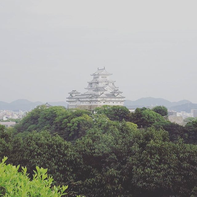 侍猫さんの夏休み #023 千姫パワースポットから逆方向の男山天満宮の山からの写真だね。逆方向だから待ち受けにすると殿力アップと言うことでいかがですかな？#姫路駅 #姫路 #japan #trip #travel #姫路城 #猫城 #castle