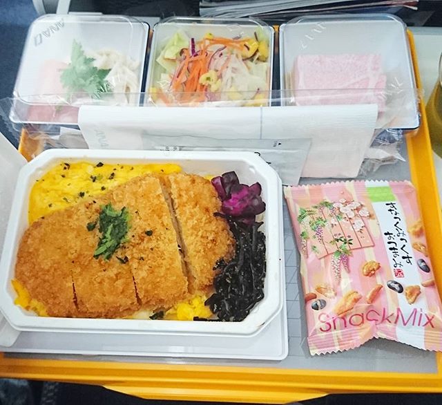 #侍猫さん台湾へ行く #004 ANAの昼飯ですな。カツ丼を選んでみました。#台湾 #台湾旅行 #旅行 #台北  #taiwan #taipei #sheraton