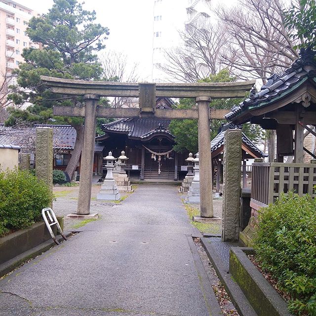 #パワースポットめぐり 平岡野神社 #侍猫散歩